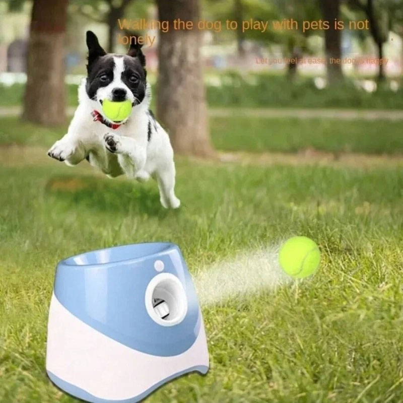 Hundewerfer, automatischer Hun – Catapult Launcher Toy Bewertung und Preis